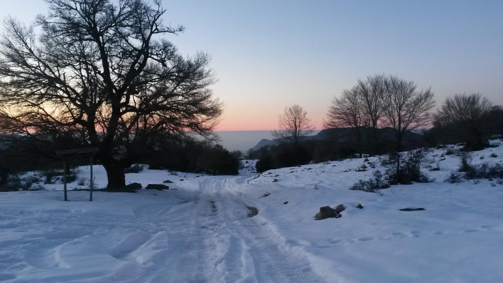 Gasthof Il Canalotto Longi